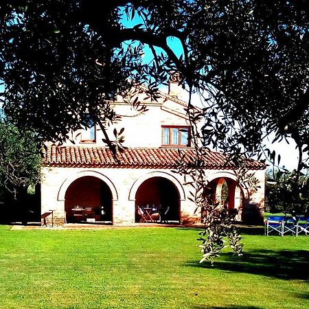 B&B La Casa Tra Gli Ulivi チヴィタノーヴァ・マルケ エクステリア 写真