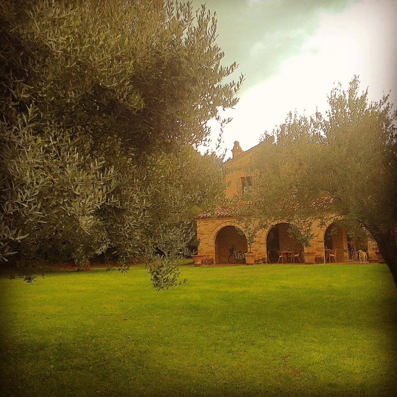 B&B La Casa Tra Gli Ulivi チヴィタノーヴァ・マルケ エクステリア 写真